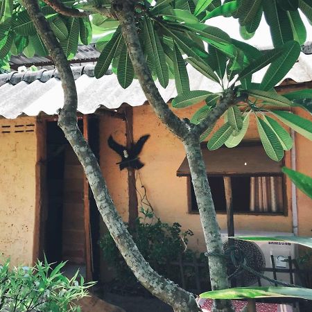 Tiddin Resort Τσιάνγκ Μάι Εξωτερικό φωτογραφία